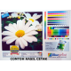 A4 Inkjet Paper 100PC 85GSM Blueprint - 8997031735587