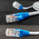 BELDEN KABEL UTP CAT6 30M ORIGINAL - KABEL LAN 30M CAT6 BELDEN UTP RJ45 ORIGINAL - 10000274600